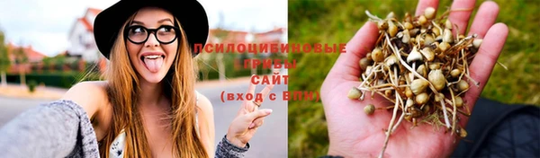 альфа пвп Баксан