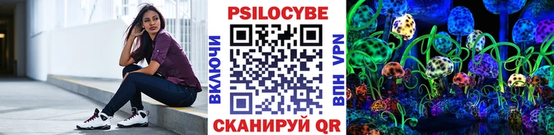 Псилоцибиновые грибы MAGIC MUSHROOMS  kraken ТОР  Пудож 
